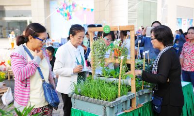 Đăng ký dự thi “Sống xanh cùng Phú Mỹ Hưng” nhận quà liền tay